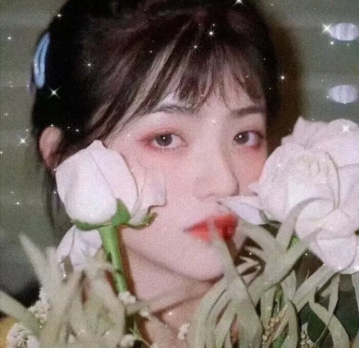 真假三莎伦