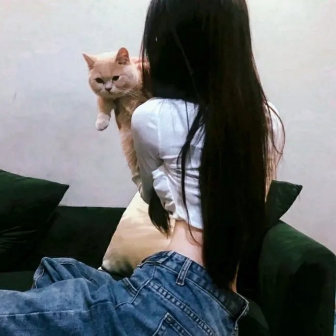 宝藏